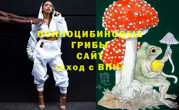 СК Балахна